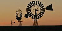 Karoo windmills at dusk. Photographer: Ian Robertson