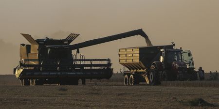 China’s waning appetite for grain spells danger for world market