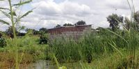 Some homes in Harare’s Epworth suburb which experienced flooding incidents as a result of wetland occupation during the past rainy season. Picture: Lemuel Chekai