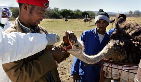 Quality and safety must be controlled to protect food sector and consumers