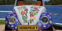 Sedgefield Mosaic Beetle. Photo: Juan Pienaar <br>