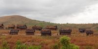Rural Madagascar. Photographer: Donal Conlon