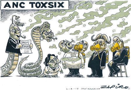 ANC ToxSix