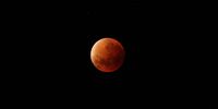 Blood moon. Photographer: HJ Brynard<br>