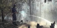 Terence Maritz, a member of the Overberg Wildfire Volunteers and others battled forest-fires in fierce 40-degree heat in the mountains at Knoflokskraal near Grabouw in the Western Cape last weekend. (Photo: William Smook)