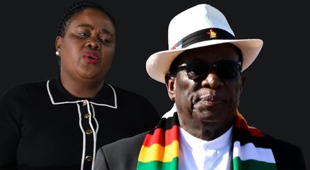 Zimbabwean activist fears SA is colluding with Zanu-PF to send him back home