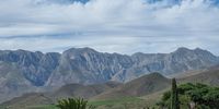  The beautiful Langeberg mountains</p>
<p>CREDIT (Photographer): Jane Turner<br>