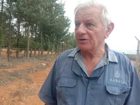 Eastern Cape court tells striking citrus workers to stay 500m from farms