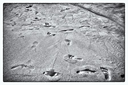Creation of footprint ID algorithm could be step in the right direction for advancing tracking and crime scene analysis