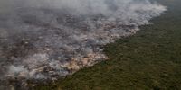 A view of areas affected by fire in the native forest in and around the Rio Negro Pantanal State Park in the city of Miranda, Brazil, on 18 November 2023 (Issued 19 November 2023). The flames continue to devour everything in their path in the Pantanal, the largest wetland on the planet, amid a climate of tension with landowners in the area, who resort to silence and coercion to prevent the disaster from spreading.  EPA-EFE/Isaac Fontana
