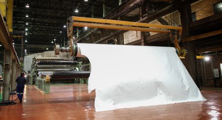 The contribution of koala bears to the SA paper industry