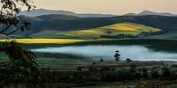 Neville Lance<br>Very early morning in the Overberg<br>Overberg - Western Cape - Close to the Greyton turnoff on the N2
