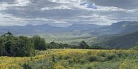 Looking across the Keiskamma valley, Amatole mountains, Eastern Cape. Image: Kerrigan McCarthy<br>