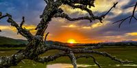 Golden Hour over Knysna Lagoon. Brenton on Lake. Image: Kim Robson Talbot @kimtalbotphotography