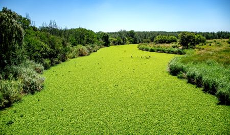 SA faces serious human health risks if we continue discharging toxic sewage into waterways