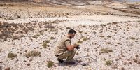 CapeNature ranger, Hilton Bocks, monitors succulent plants in the Knersvlakte Nature Reserve. (Photo: Ashraf Hendricks)