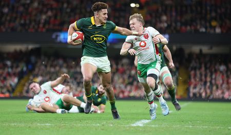 Mighty Springboks end season of growth on a high by thrashing Wales in Cardiff
