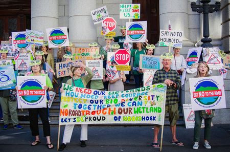 City of Cape Town taken to court over proposed road that threatens endangered toads