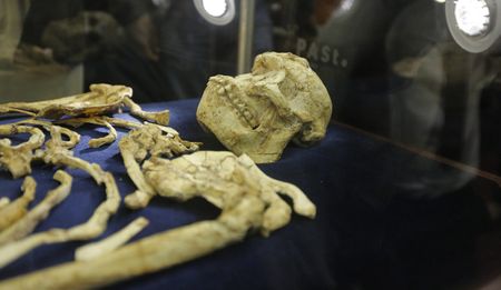 Meet Little Foot: World’s oldest forerunner of modern humans unveiled and on display