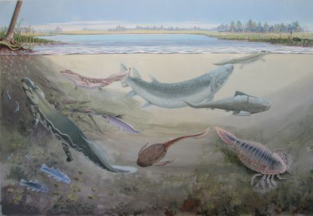 Remains of prehistoric 3-metre fish discovered in Eastern Cape