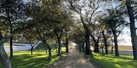 Morning walk at Groot Constantia. Photographer: Marc Marsilio 