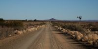 elephant-crossing-karoo