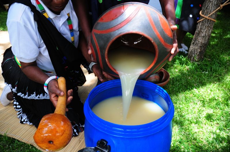 Marula quenches rural citizens’ economic thirst