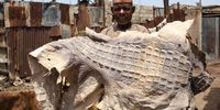 epa12155565 A leather worker processes crocodile skins at the Majema tannery in Kano, Kano State, Nigeria, 04 June 2025. The tannery, which has been in business for a hundred years, makes leather with crocodile, snake, and goat skins.  EPA-EFE/EMMANUEL ADEGBOYE