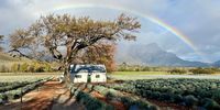 Somewhere under the rainbow. Photographer: Michéle Jerling</p>
<p>P4U_readersubmission_20250614