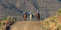 Riders on the ridge – Pieter Salman Bantom, Lindy Naude and Julie Hobson. Image: Chris Marais