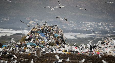 Waste not, want not: Western Cape to ban organic waste from landfills, starting with 50% reduction in 2022