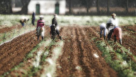 Another hurdle in liberating Africa’s women: Land claims