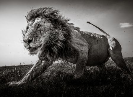 2021 Sony World Photography Professional Competition: Finalists and shortlist (Part Three)