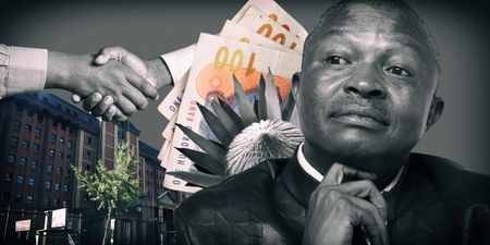 Dead Matter (Part One): How political corruption decimated Mpumalanga’s biodiversity