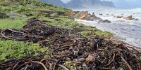 Waves washed up against the mountain in Betty's Bay. (Photo: Facebook)