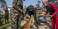 Nepalese Army officers adorn dog during dog worship day, as part of the Tihar festival in Kathmandu, Nepal, 03 November 2021. The Tihar festival is the second major festival for Nepalese Hindus and this year is held for five days, begining on 03 November 2021. During the festival people worship crows, considered to be messengers of human beings; cows, considered as incarnations of lord Laxmi (the god of wealth); and dogs, repaying the love towards man's 'best friend'.  EPA-EFE/NARENDRA SHRESTHA
