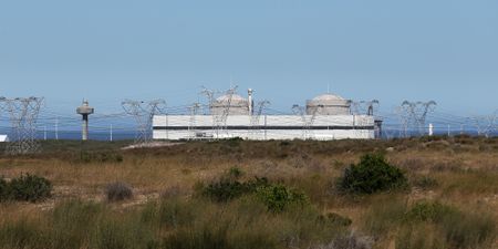Calls for Eskom to lift veil of silence on R20bn plan to extend Koeberg's lifespan