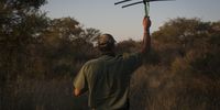A Ranger from the Dinokeng Nature Reserve is seen tracking wildlife with a satellite collar tracing device in the Dinokeng Game Reserve. The Big 5 Game Reserve, situated in Hammanskraal, Northern Gauteng is under immense financial strain. It has zero income since the lockdown was enforced. Management fears possible closure of the reserve should the lockdown continue for another few months. 12 May 2020. (Photo: Shiraaz Mohamed)