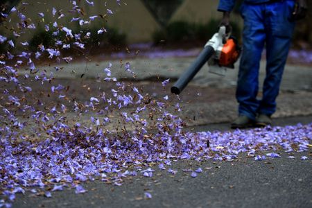 Household gardeners in South Africa: A survivalist life with little protection