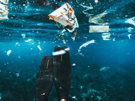 Microplastics and nanoplastics have been found throughout the human body – how worried should we be?