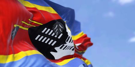 Historic Swazi court judgment striking down parts of sedition and terrorism laws is under threat