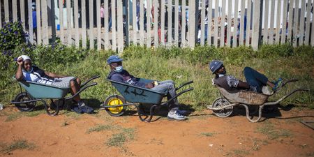 South Africa needs a national food security council to fend off starvation