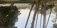 Mist rising in Keurboom Park before sunrise. Image: Jenni Bessesen 