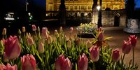 Peace Palace with tulips. Photographer: Zoe Lees
