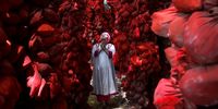 A Hindu devotee offers prayers amid coconut offerings wrapped in red cloth tied to the Banyan tree at the Kateramma temple, the reincarnation of goddess Parvati, in Hoskote taluk, in Bangalore Rural district, India, 22 September 2023. Hundreds of Hindu devotees visit the temple and go around the big Banyan tree at the temple believed to fulfill devotees' wishes.  EPA-EFE/JAGADEESH NV