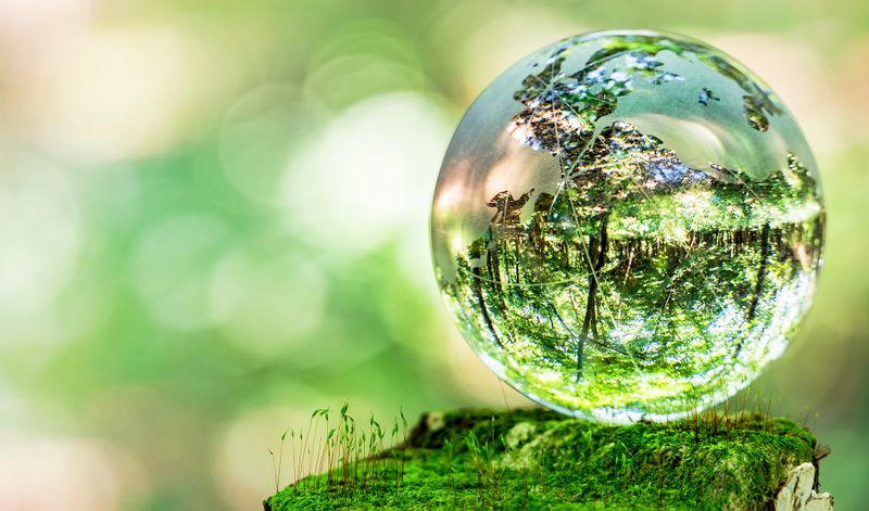 Respecting the rights of nature is the only way out of climate chaos ...