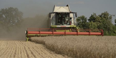 Global grain supplies are ample, but we must watch India and Russia