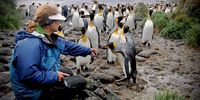 Seabird researcher Linda Clokie at a Marion Island king penguin colony, March 2011. (Photo: Tiara Walters)