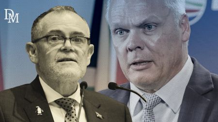 Watch – Why did the DA decide to fire its Environment Minister Dion George?