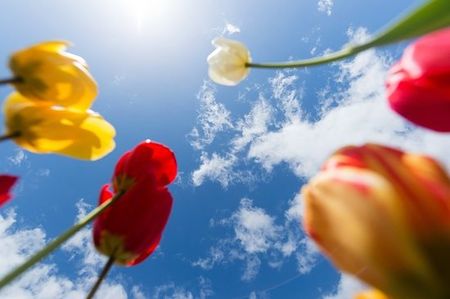 While you were sleeping: 20 April 2016